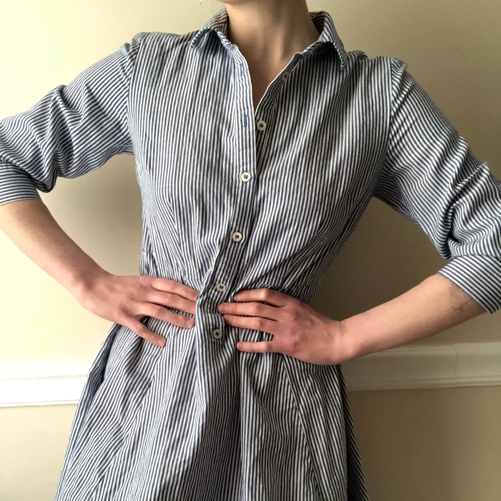 Premise Studio button up striped dress